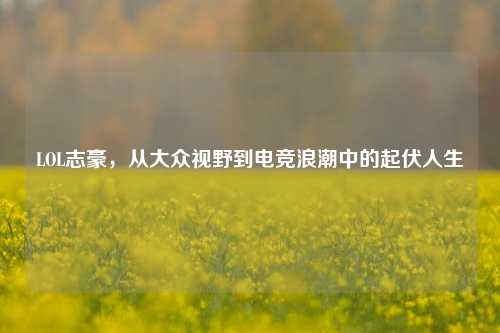 LOL志豪，从大众视野到电竞浪潮中的起伏人生