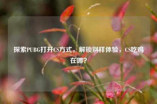 探索PUBG打开CS方式，解锁别样体验，CS吃鸡在哪？