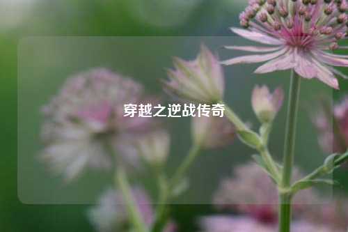 穿越之逆战传奇