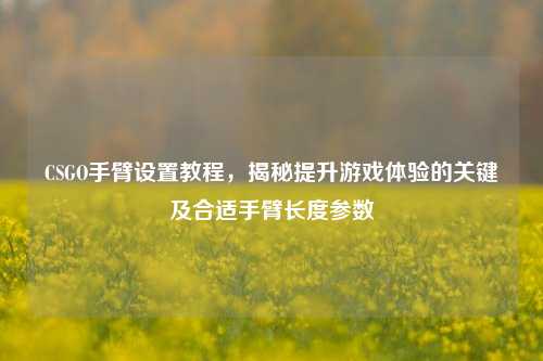 CSGO手臂设置教程，揭秘提升游戏体验的关键及合适手臂长度参数