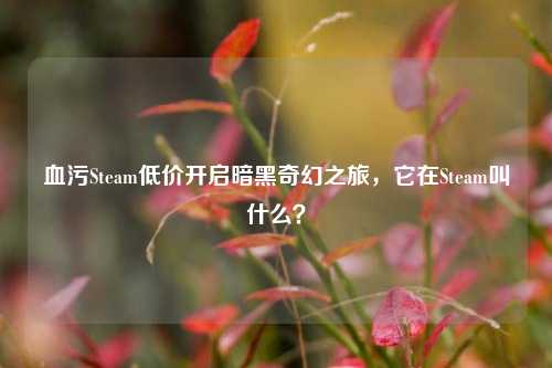 血污Steam低价开启暗黑奇幻之旅，它在Steam叫什么？
