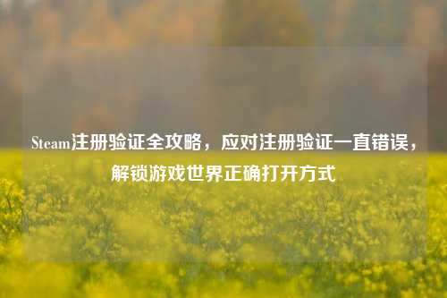 Steam注册验证全攻略，应对注册验证一直错误，解锁游戏世界正确打开方式