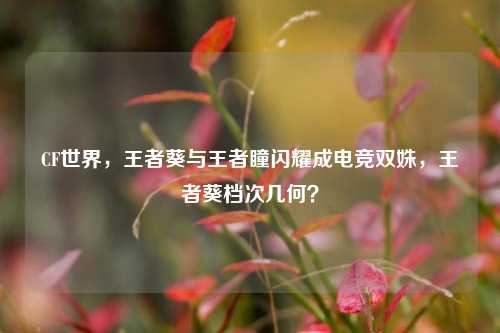 CF世界，王者葵与王者瞳闪耀成电竞双姝，王者葵档次几何？