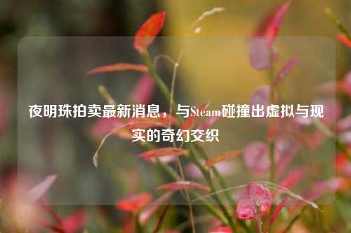 夜明珠拍卖最新消息，与Steam碰撞出虚拟与现实的奇幻交织