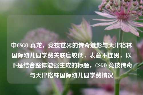 中CSGO 真龙，竞技世界的传奇魅影与天津格林国际幼儿园学费关联度较低，表意不连贯，以下是结合整体勉强生成的标题，CSGO 竞技传奇与天津格林国际幼儿园学费情况