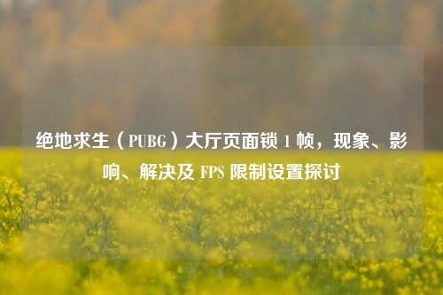 绝地求生（PUBG）大厅页面锁 1 帧，现象、影响、解决及 FPS 限制设置探讨