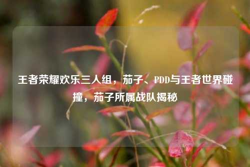 王者荣耀欢乐三人组，茄子、PDD与王者世界碰撞，茄子所属战队揭秘