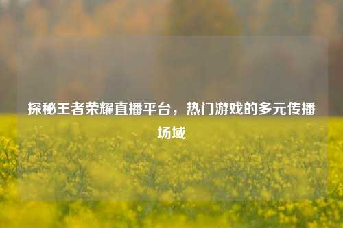 探秘王者荣耀直播平台，热门游戏的多元传播场域