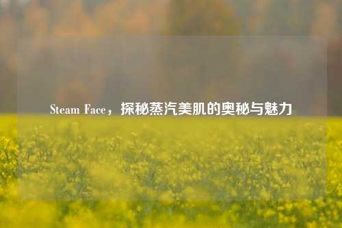 Steam Face，探秘蒸汽美肌的奥秘与魅力
