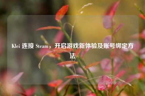 Klei 连接 Steam，开启游戏新体验及账号绑定方法