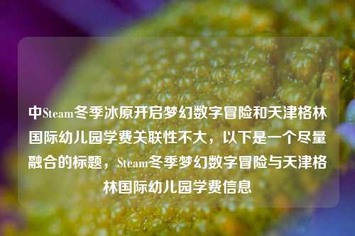 中Steam冬季冰原开启梦幻数字冒险和天津格林国际幼儿园学费关联性不大，以下是一个尽量融合的标题，Steam冬季梦幻数字冒险与天津格林国际幼儿园学费信息