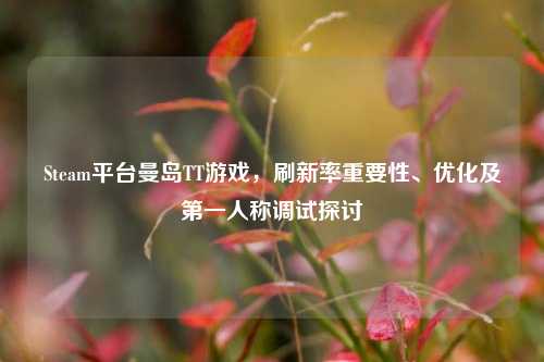 Steam平台曼岛TT游戏，刷新率重要性、优化及第一人称调试探讨