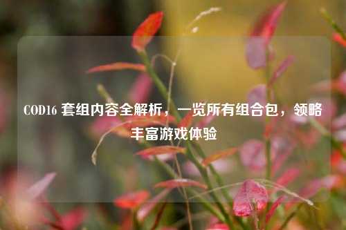 COD16 套组内容全解析，一览所有组合包，领略丰富游戏体验