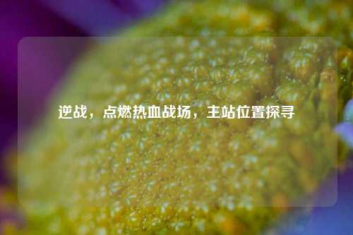 逆战，点燃热血战场，主站位置探寻