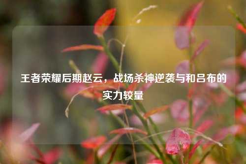 王者荣耀后期赵云,战场杀神逆袭与和吕布的实力较量