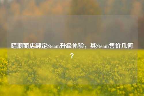 暗潮商店绑定Steam升级体验，其Steam售价几何？