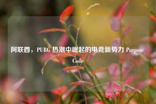 阿联酋，PUBG 热潮中崛起的电竞新势力 Purpose Code