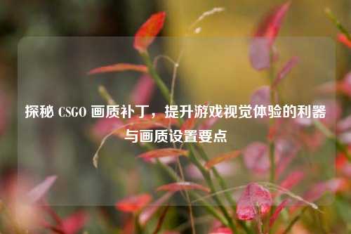 探秘 CSGO 画质补丁，提升游戏视觉体验的利器与画质设置要点