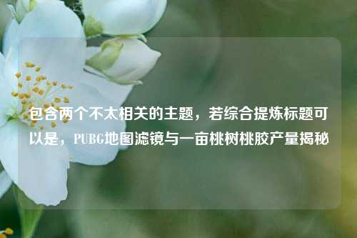 包含两个不太相关的主题，若综合提炼标题可以是，PUBG地图滤镜与一亩桃树桃胶产量揭秘