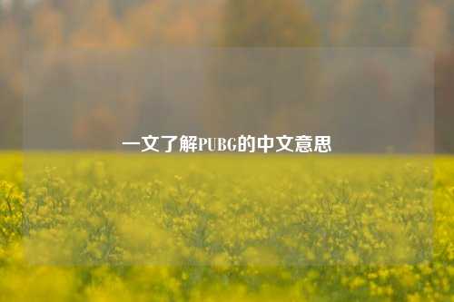 一文了解PUBG的中文意思