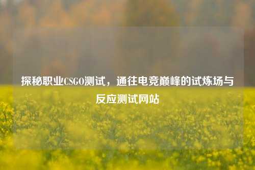 探秘职业CSGO测试，通往电竞巅峰的试炼场与反应测试网站