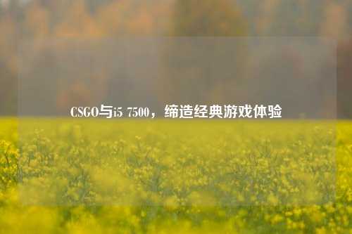 CSGO与i5 7500，缔造经典游戏体验
