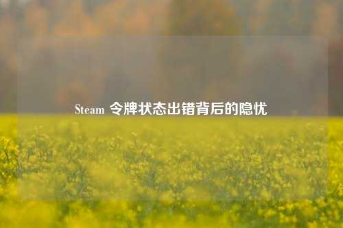 Steam 令牌状态出错背后的隐忧