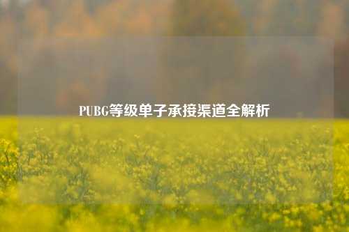 PUBG等级单子承接渠道全解析