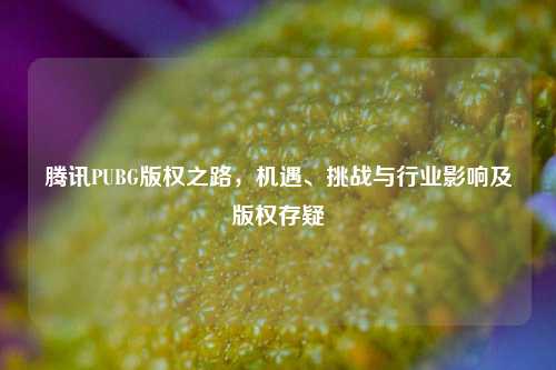腾讯PUBG版权之路，机遇、挑战与行业影响及版权存疑