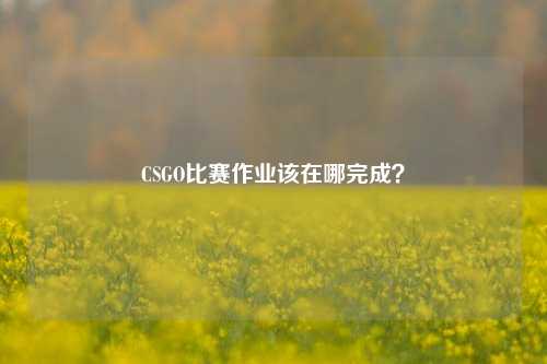 CSGO比赛作业该在哪完成？