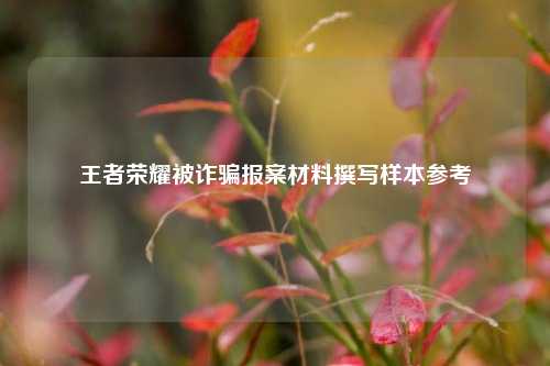 王者荣耀被诈骗报案材料撰写样本参考