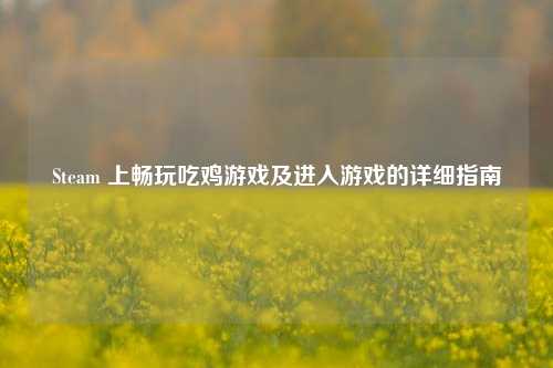 Steam 上畅玩吃鸡游戏及进入游戏的详细指南