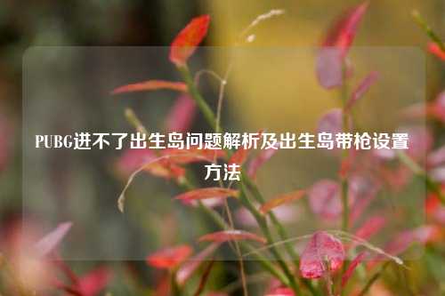 PUBG进不了出生岛问题解析及出生岛带枪设置方法
