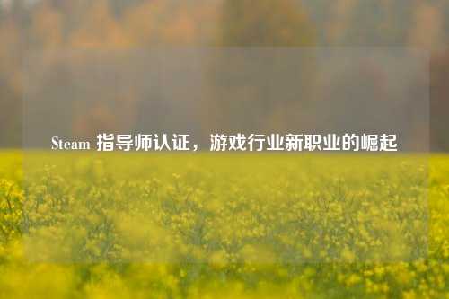 Steam 指导师认证，游戏行业新职业的崛起
