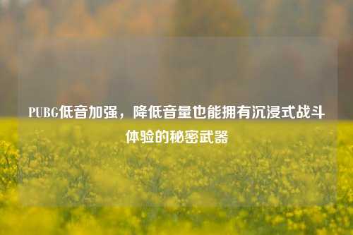 PUBG低音加强，降低音量也能拥有沉浸式战斗体验的秘密武器