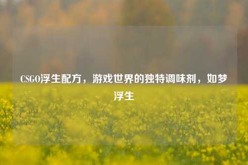 CSGO浮生配方，游戏世界的独特调味剂，如梦浮生