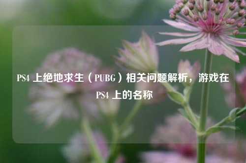 PS4 上绝地求生（PUBG）相关问题解析，游戏在 PS4 上的名称