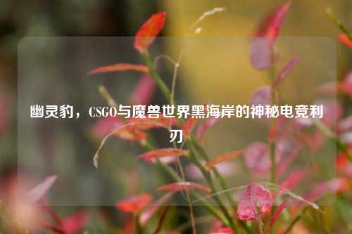 幽灵豹，CSGO与魔兽世界黑海岸的神秘电竞利刃