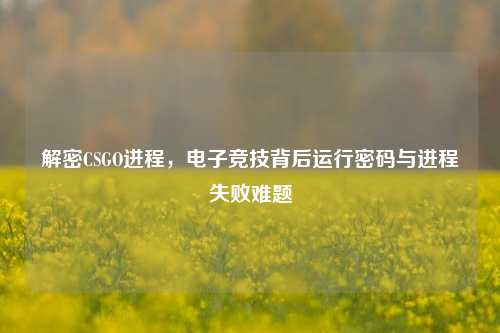 解密CSGO进程，电子竞技背后运行密码与进程失败难题