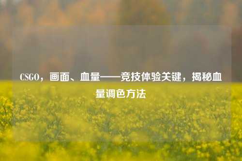 CSGO,画面、血量——竞技体验关键,揭秘血量调色方法