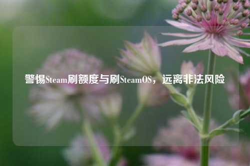 警惕Steam刷额度与刷SteamOS，远离非法风险