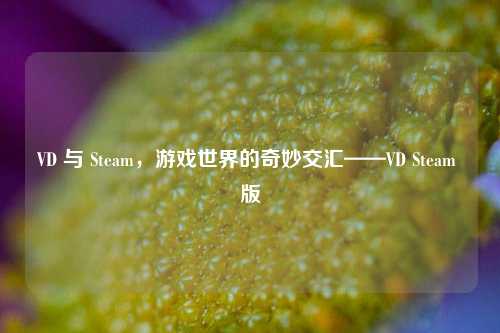 VD 与 Steam，游戏世界的奇妙交汇——VD Steam 版