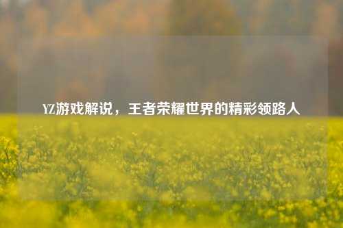 YZ游戏解说，王者荣耀世界的精彩领路人