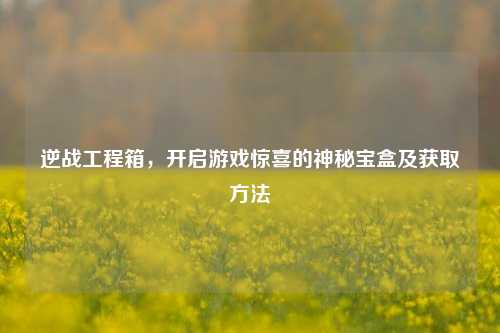 逆战工程箱，开启游戏惊喜的神秘宝盒及获取方法