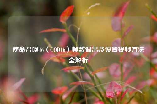 使命召唤16（COD16）帧数调出及设置提帧方法全解析