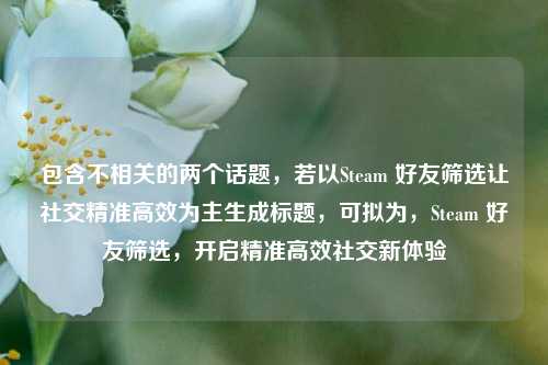 包含不相关的两个话题，若以Steam 好友筛选让社交精准高效为主生成标题，可拟为，Steam 好友筛选，开启精准高效社交新体验