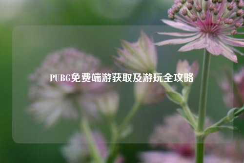 PUBG免费端游获取及游玩全攻略