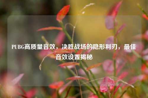 PUBG高质量音效，决胜战场的隐形利刃，最佳音效设置揭秘