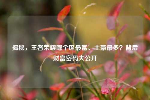 揭秘，王者荣耀哪个区最富、土豪最多？背后财富密码大公开