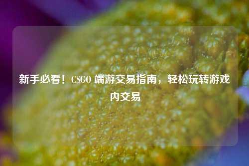 新手必看！CSGO 端游交易指南，轻松玩转游戏内交易